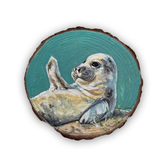 Portret Zeehond