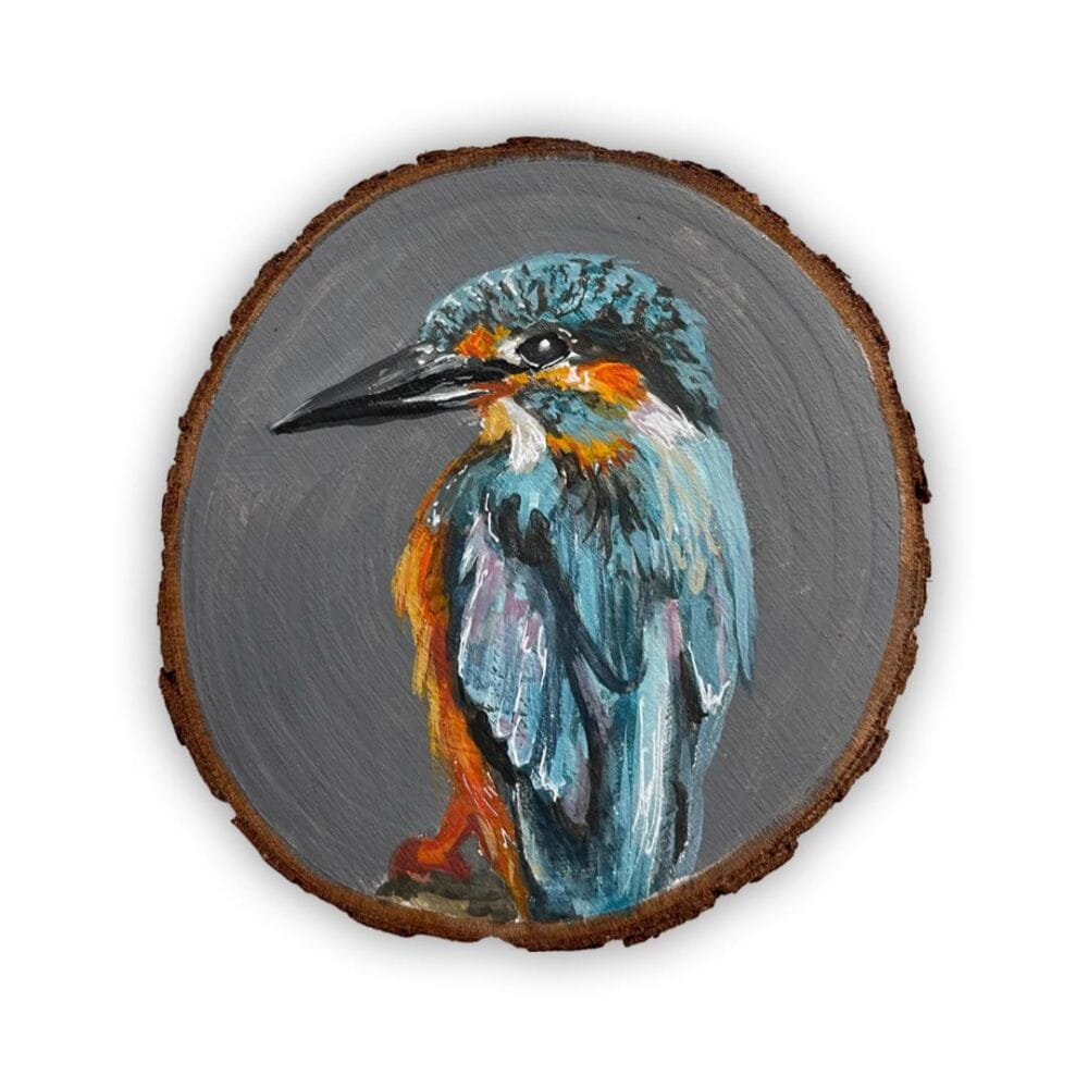 Portret ijsvogel