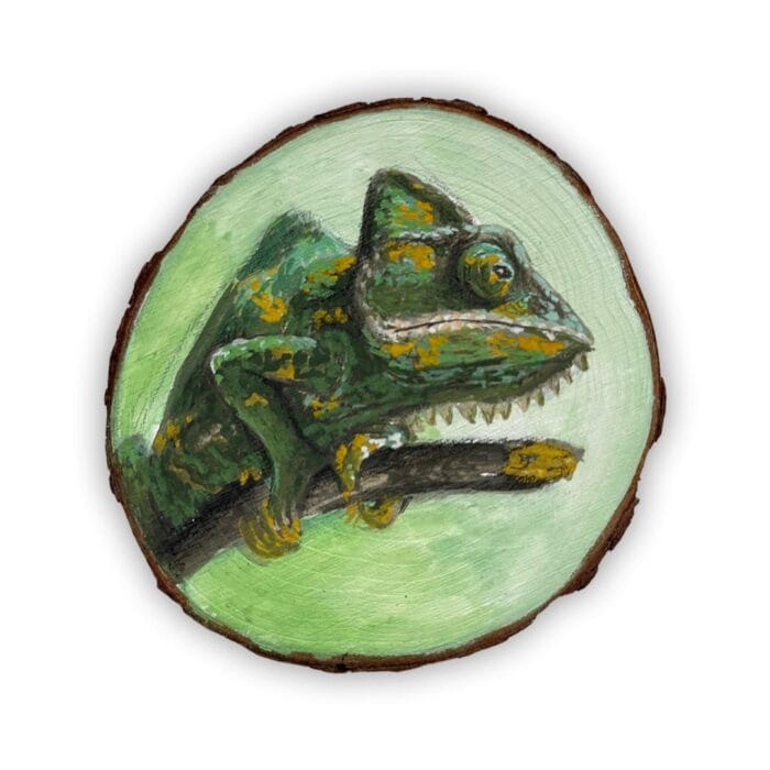 Portret Kameleon
